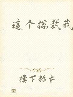 这个总裁我要了