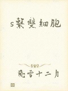 s系双细胞