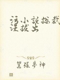 污小说总裁整夜没拔出