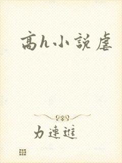高h小说虐