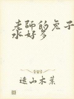 老师的兔子好软水好多