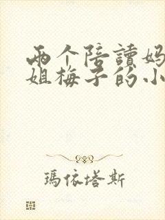 两个陪读妈妈赵姐梅子的小说