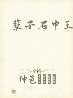 孽子石中玉