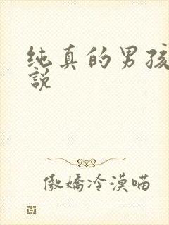 纯真的男孩子小说