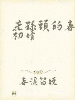 老孙头的春天林初晴