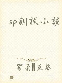 sp训诫小说