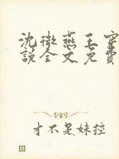 沈微燕王穿越小说全文免费阅读