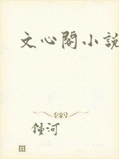 文心阁小说