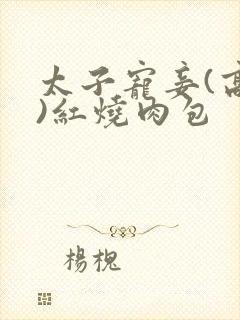 太子宠妾(高肉)红烧肉包