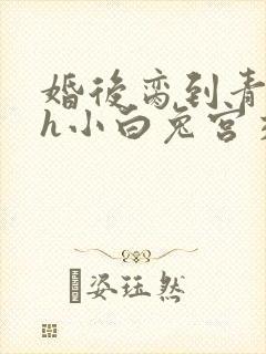 婚后脔到青梅哭h小白兔宫交h