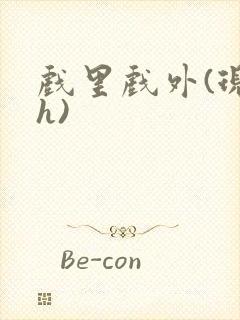 戏里戏外(现场h)