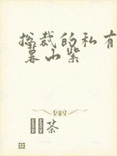 总裁的私有宝贝 暮山紫