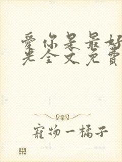 爱你是最好的时光全文免费阅读