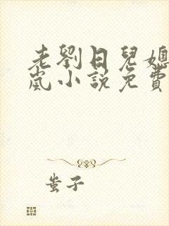 老刘日儿媳妇张岚小说免费阅读