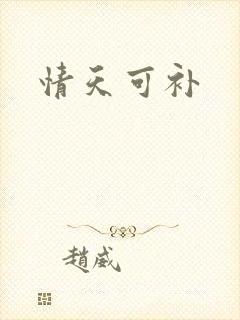 情天可补
