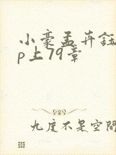 小豪孟卉钰慧三p上79章