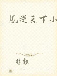 凤逆天下小说