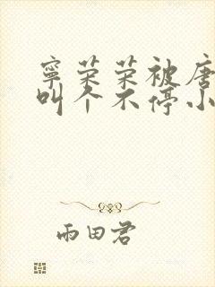 宁荣荣被唐三桶叫个不停小说