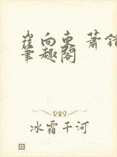 崔向东 萧错 笔趣阁