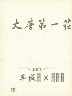 大唐第一庄