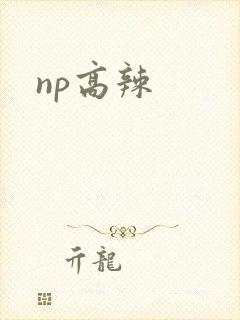 np高辣