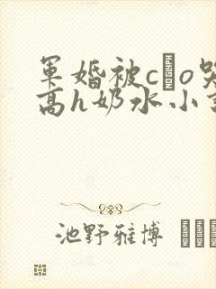 军婚被cαo哭高h奶水小说