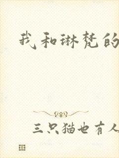 我和琳梵的故事