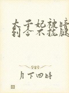 太子妃被暗卫C到合不拢腿