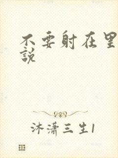 不要射在里面小说