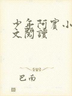 少年阿宾小说全文阅读