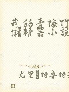 我的青梅竹马是储精器小说