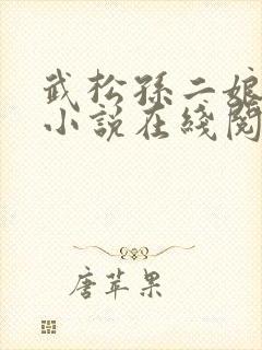 武松孙二娘云雨小说在线阅读