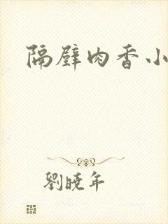 隔壁肉香小说