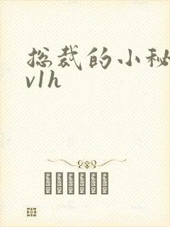 总裁的小秘书1v1h