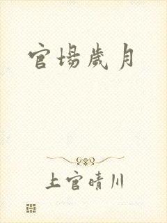 官场岁月