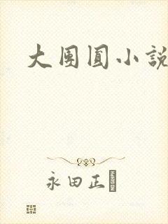 大团圆小说