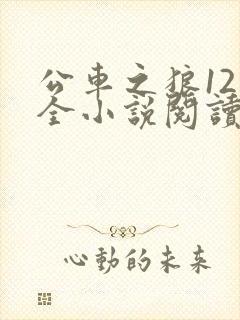 公车之狼12集全小说阅读