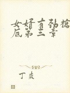 女婿有劲枪枪到底第三章