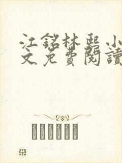 江铭林熙小说全文免费阅读