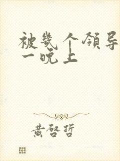 被几个领导玩弄一晚上