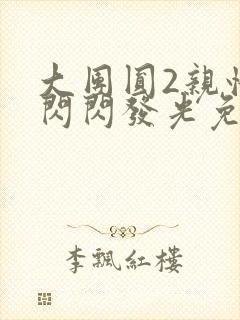 大团圆2亲情会闪闪发光免费