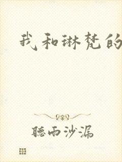 我和琳梵的故事