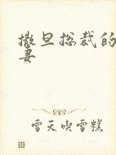 撒旦总裁的下堂妻