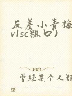 反差小青梅(1v1sc粗口)