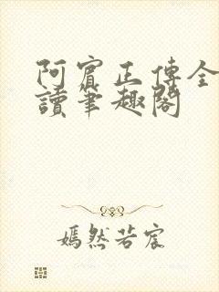 阿宾正传全文阅读笔趣阁