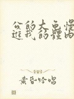 公的大龟慢慢挺进我的体内