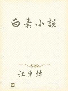 白素小说