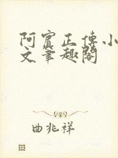 阿宾正传小说全文笔趣阁