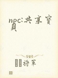 npc:共享宝贝