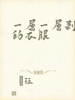 一层一层剥掉你的衣服